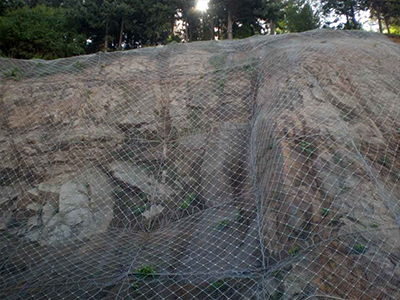 邊坡防護網(wǎng) 邊坡防護網(wǎng)
