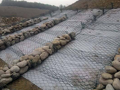 雷諾護墊 雷諾護墊