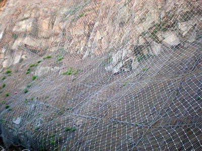 主動防護網(wǎng) 主動防護網(wǎng)